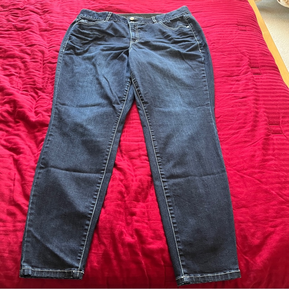 Lane Bryant Women's Dark Blue Skinny Jeans with Tummy Control